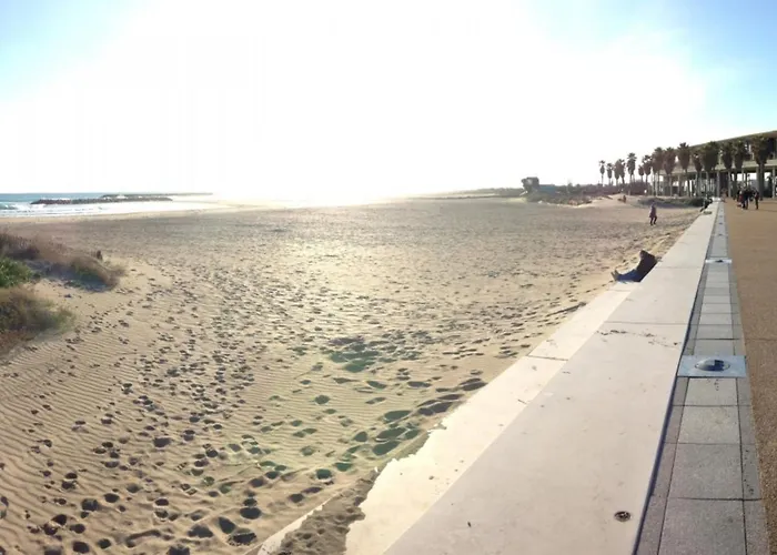 Charmant 2 Pieces Mezzanine, Terrasse, Parking Et Climatisation A Sete - Fr-1-338-123 *